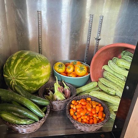 Eco Glamping With Pool Between Nafplio And Аргос Экстерьер фото